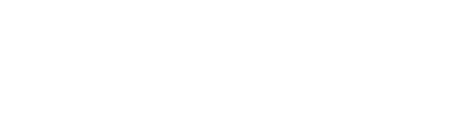 SIMCOM Aviation